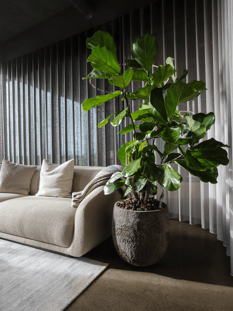 Monolito 3-Seater Canvas Sofa